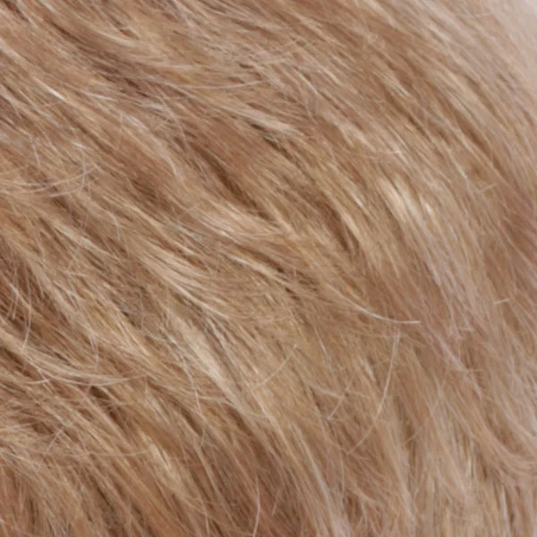 R20F | Light Auburn / Golden Blonde Frost